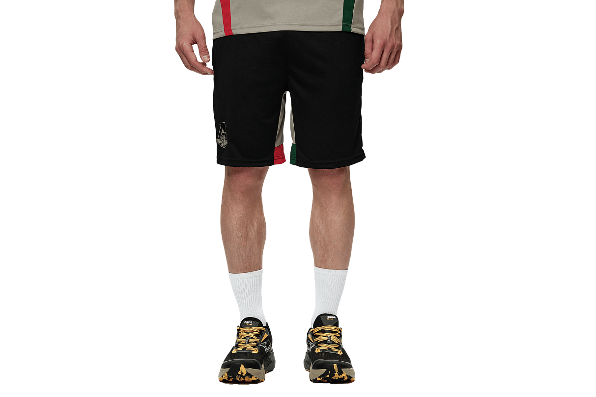 JOMA Шорты тренировочные TM11202C1101 (S)