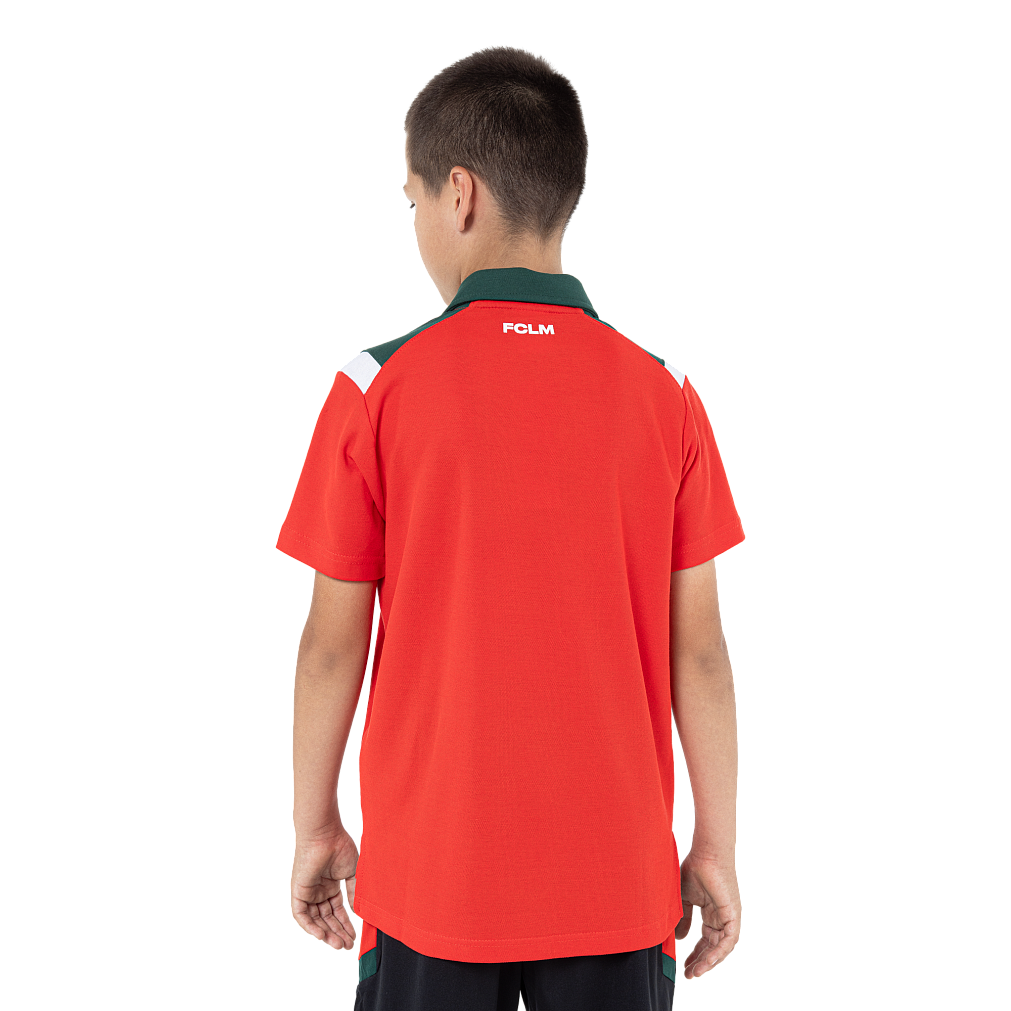 Поло TM10701B3101 (красный, 100% хлопок) (5xs)