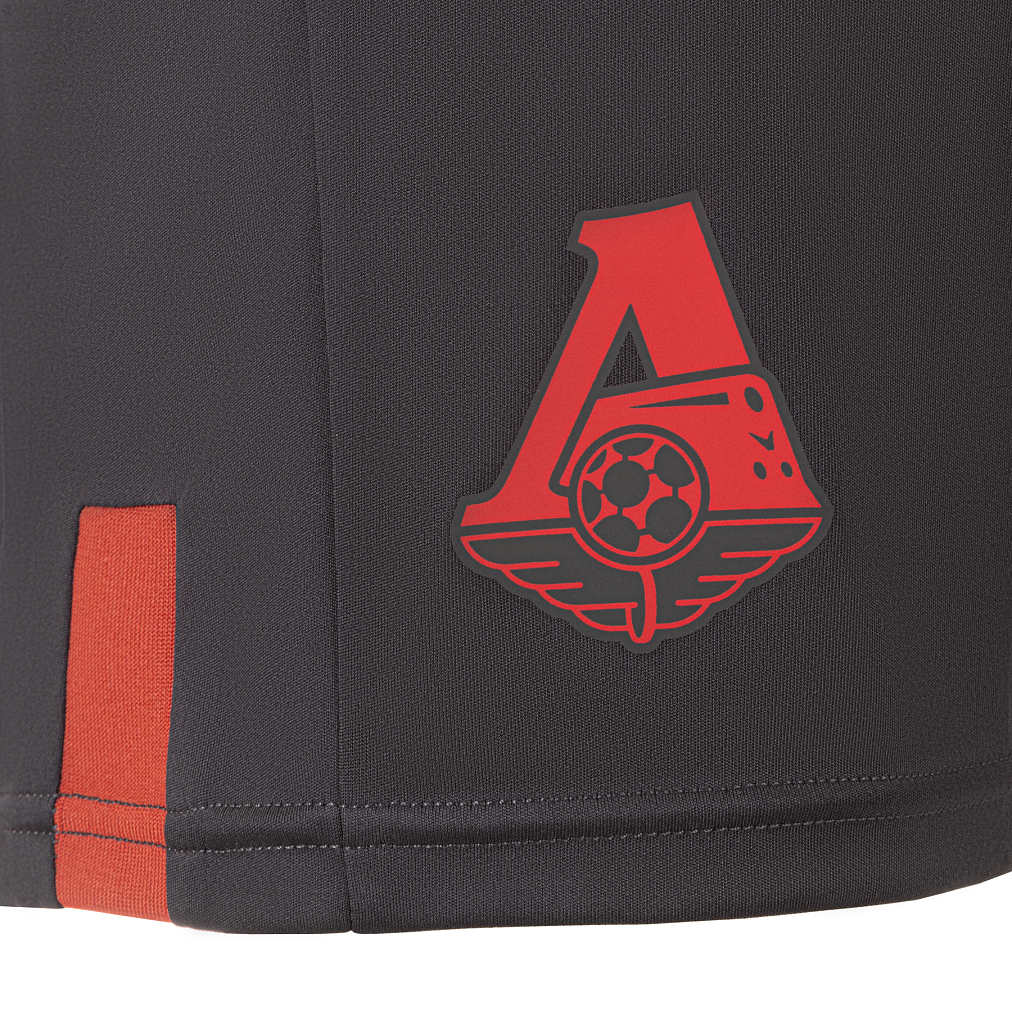 JOMA Шорты Локомотив TM11202A0103 (Серый)